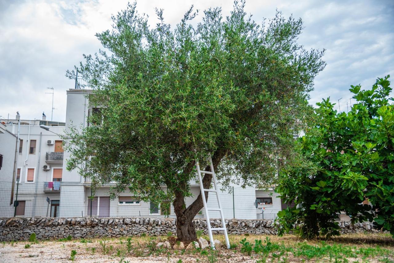 Trulli Dimora Palmisano Lejlighed Locorotondo Eksteriør billede