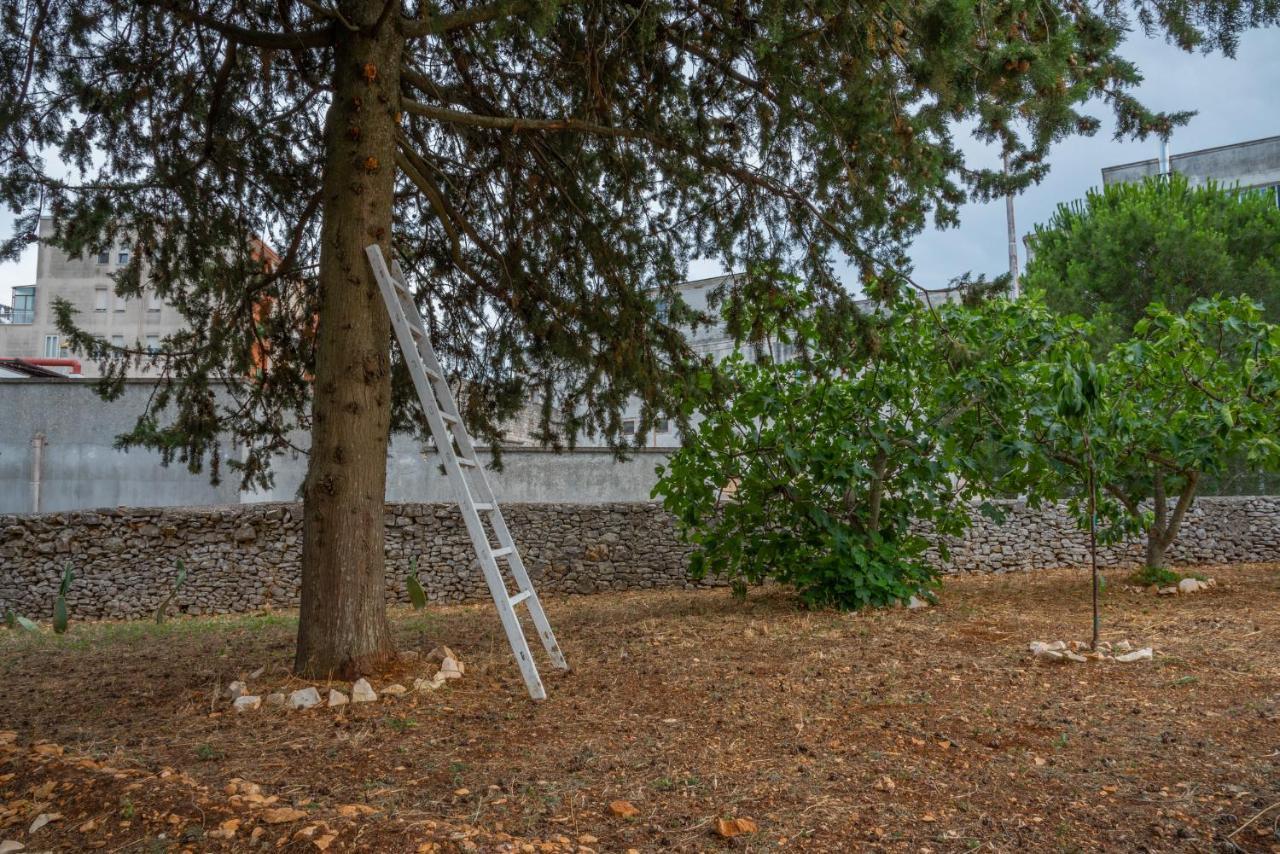 Trulli Dimora Palmisano Lejlighed Locorotondo Eksteriør billede